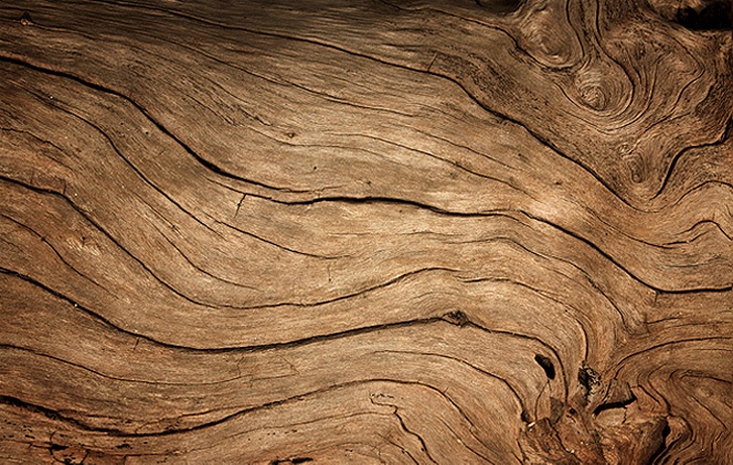 以木為源,以人為本